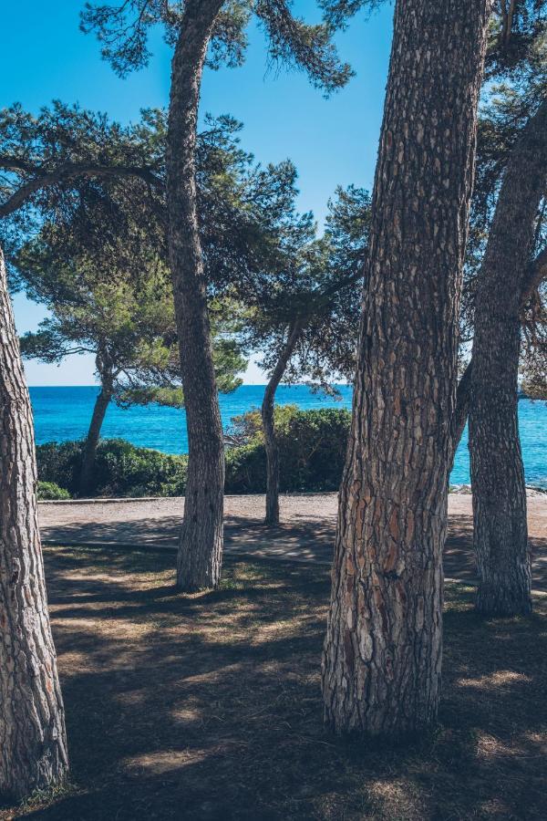 Iberostar Waves Pinos Park Font de sa Cala